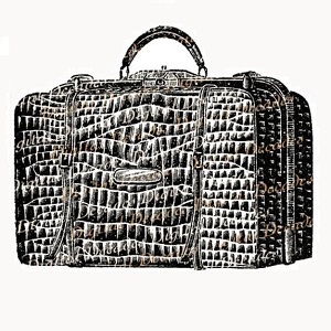 Carrion Luggage